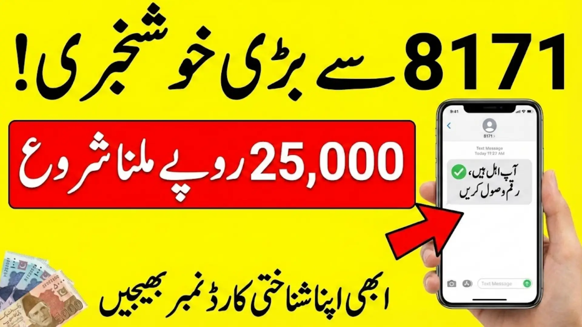 BISP Registration Check By SMS | 8171 Web Portal Full Details For Poor And Deserving People