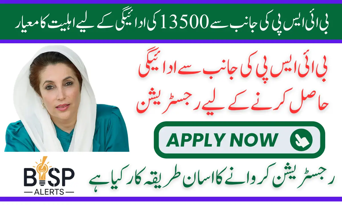 BISP 8171 February 2025 Payment Criteria For Ineligible People Know Complete Details