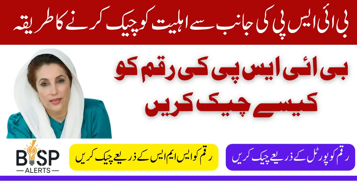 BISP Payment Status March 2025 Check Online and Payment Schedule Latest Update