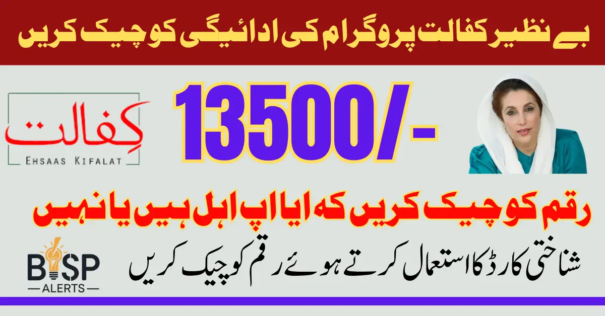 Check Benazir Kafalat 13500 Payment Status Via 8171 Web Portal After Registration Complete