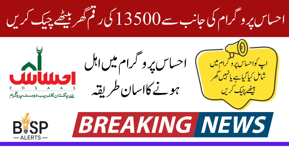 8171 Check Online CNIC Ehsaas Program Payment 13500 In 2025 Latest Update