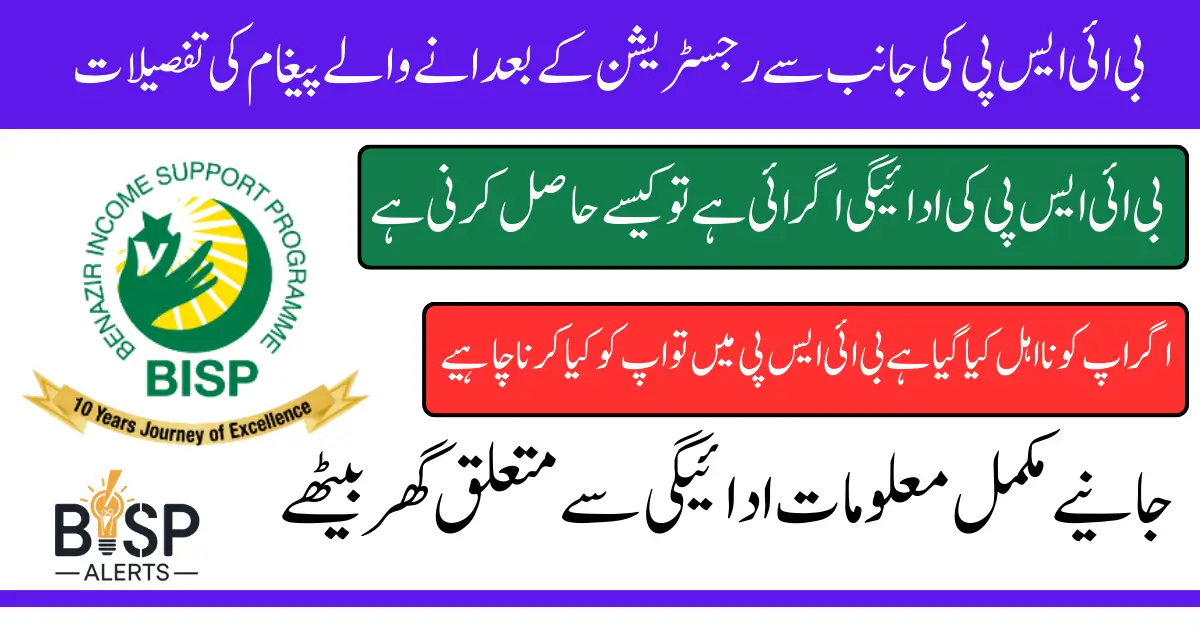 BISP 13500 Payment SMS from 8171 What It Means and What To Do Next May Update