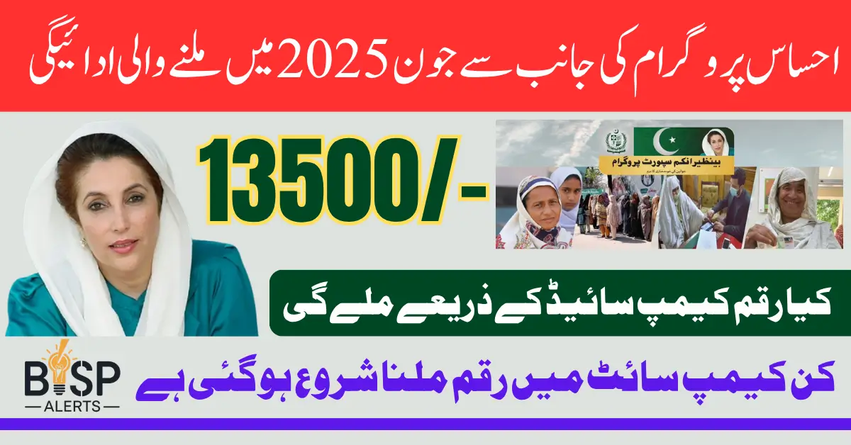 Ehsaas Program 8171 June 2025 Payment Check Eligibility Status Via Web Portal And SMS